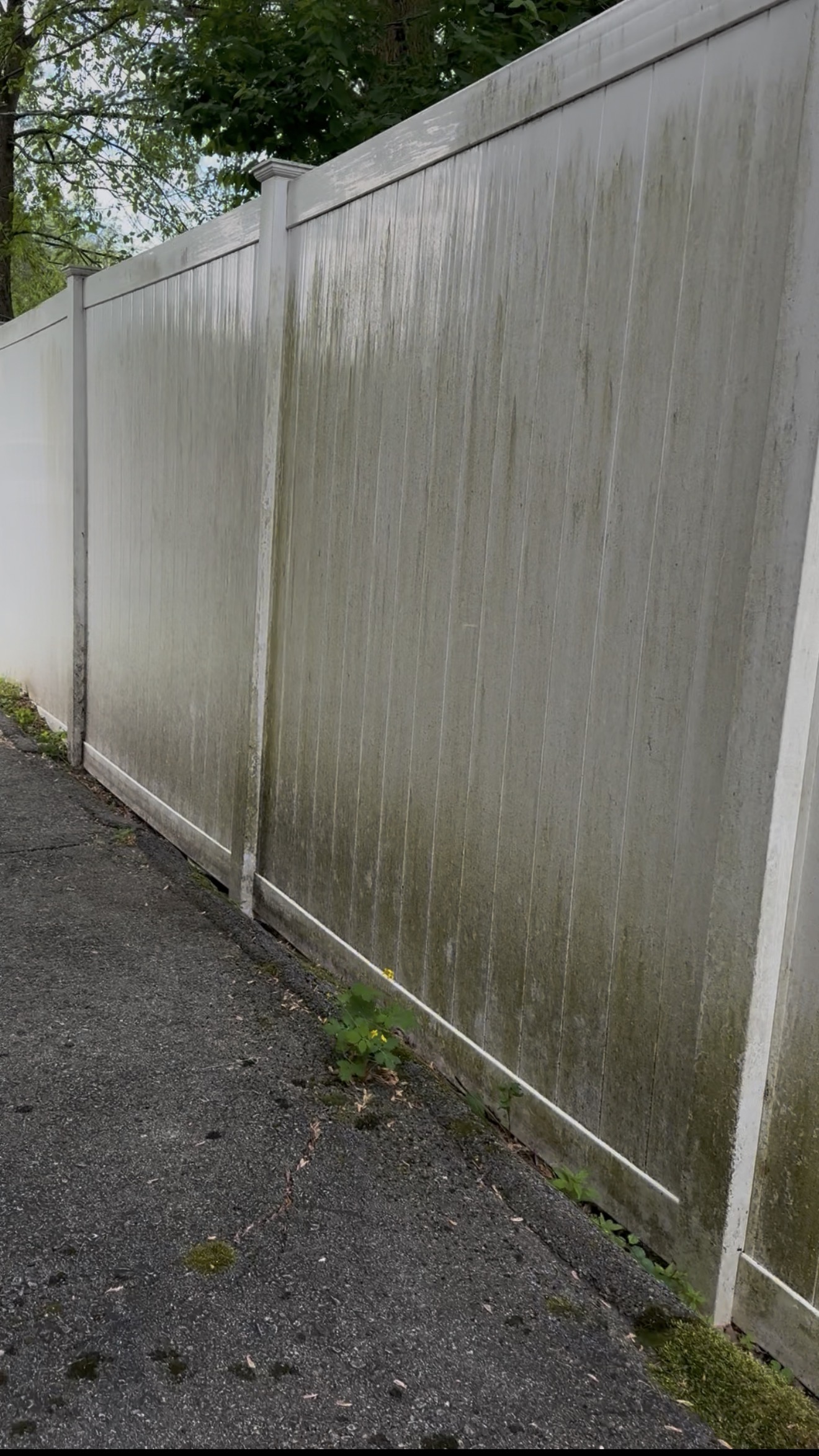 Before fence cleaning Capital Region NY